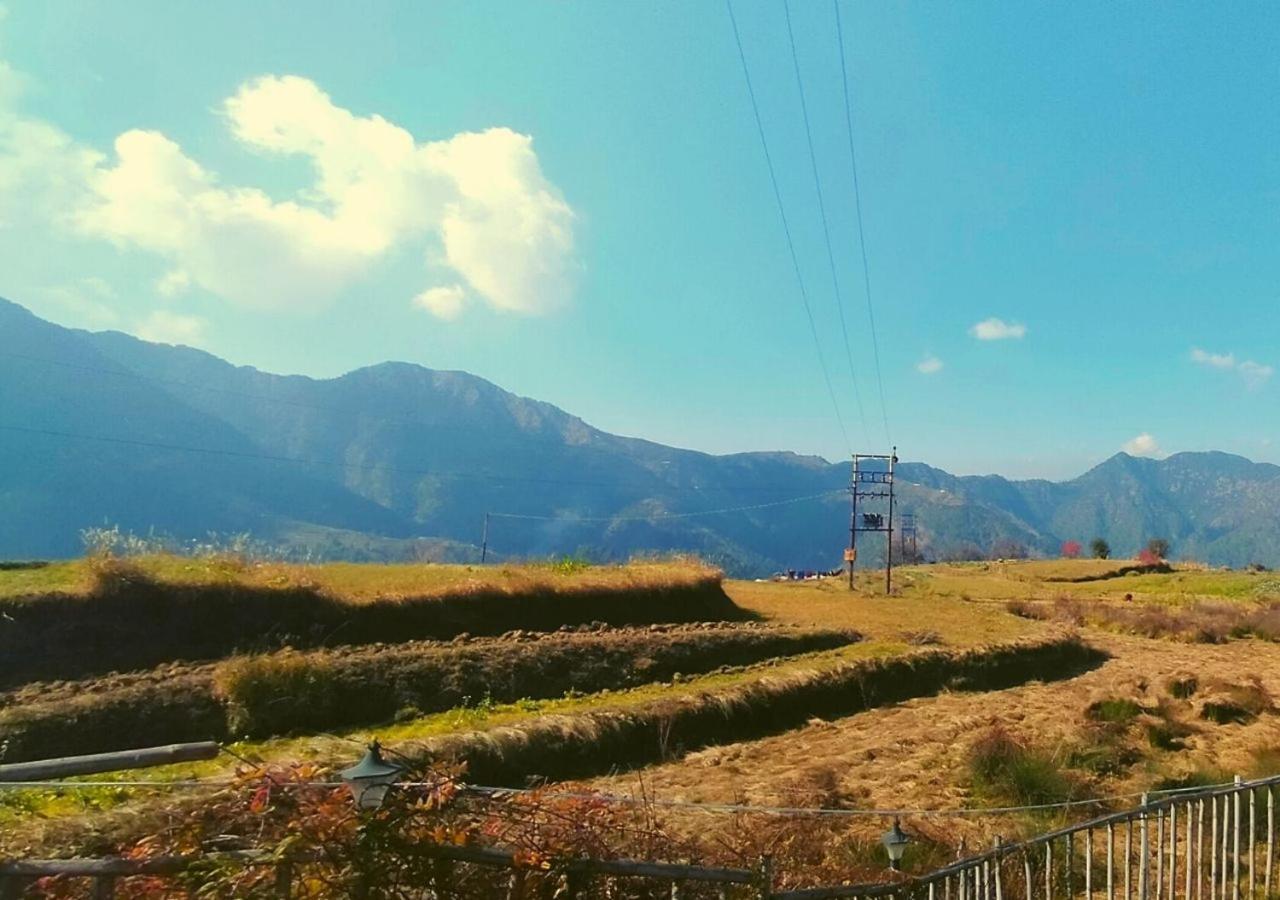 Bamboo Junction Resort - Kanatal, Valley & Mountain View Дганолті Екстер'єр фото
